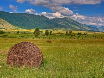 lybra cooperativa sociale territorio