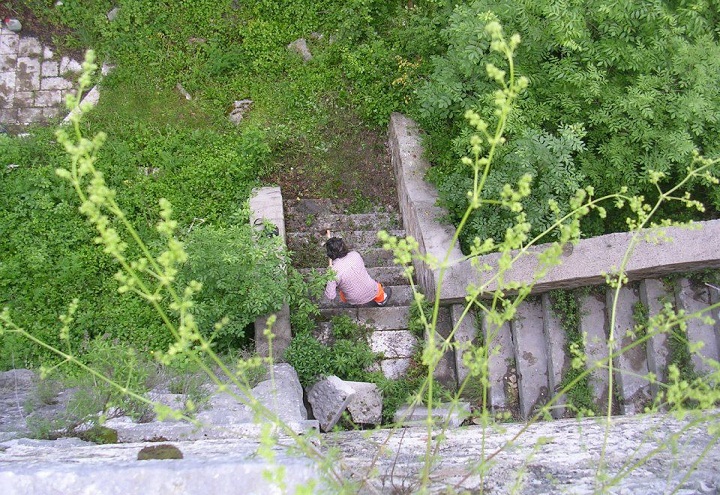 lybra cooperativa sociale equilibri sociali