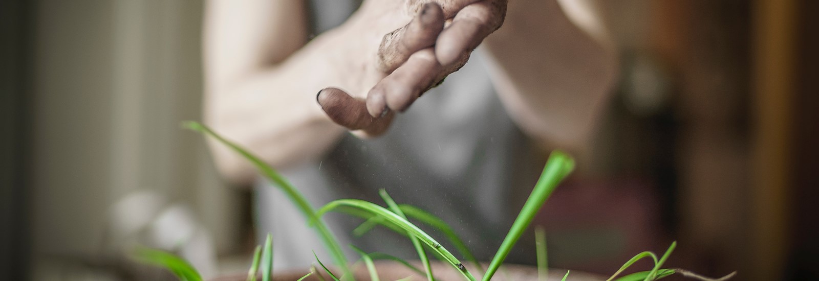 lybra cooperativa sociale chi siamo